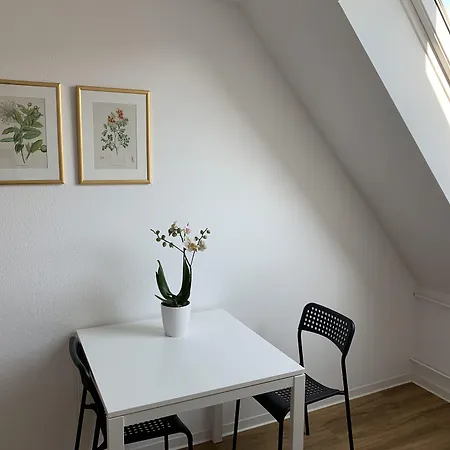 מלון B54 היידלברג